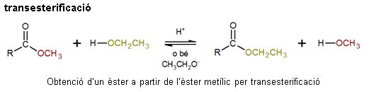 Imagen de un resultado de un térmio del cercaterm