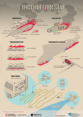 L'incendi forestal