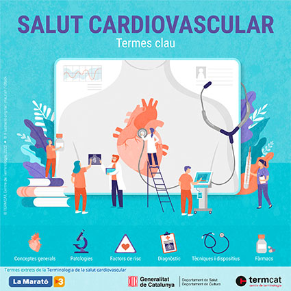 Salut cardiovascular. Termes clau