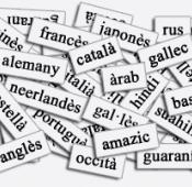 © TERMCAT, Centre de Terminologia