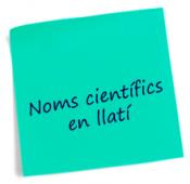 Criteris terminològics