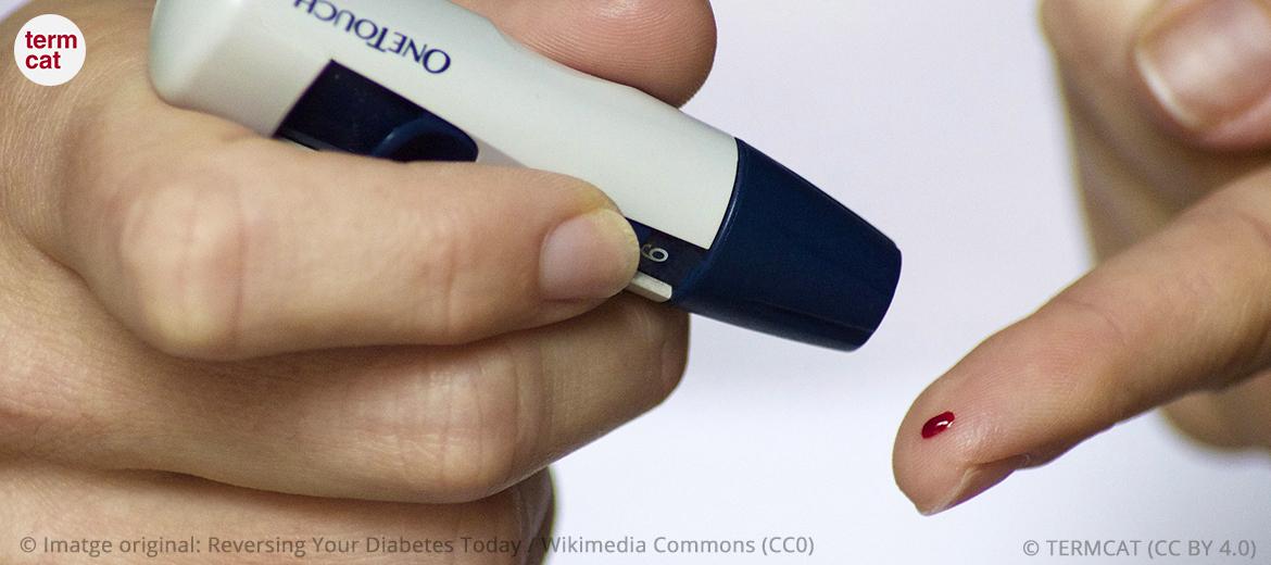 #termedelasetmana: diabetis mellitus