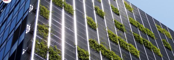 Què és l'ecologització?