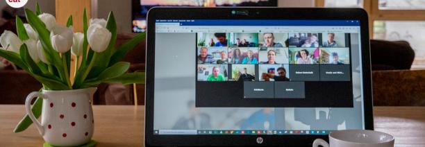 Imatge d'un seminari web