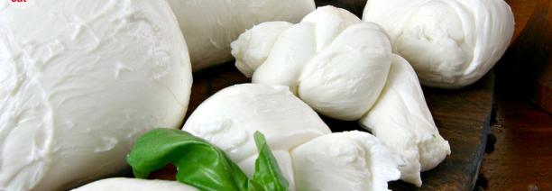 mozzarella