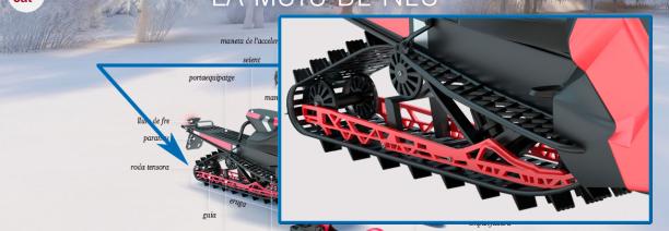 imatge de la infografia