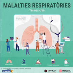 imatge de la infografia